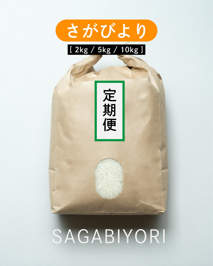 【3回定期便】特別栽培米 さがびより [ 2kg / 5kg / 10kg ]